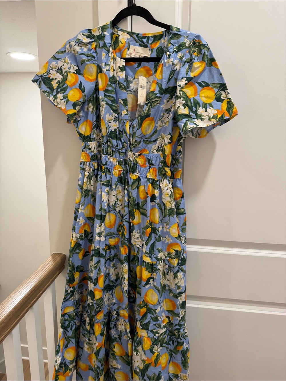 Anthropologie Somerset Light Blue Lemon Print Women's Maxi Dress